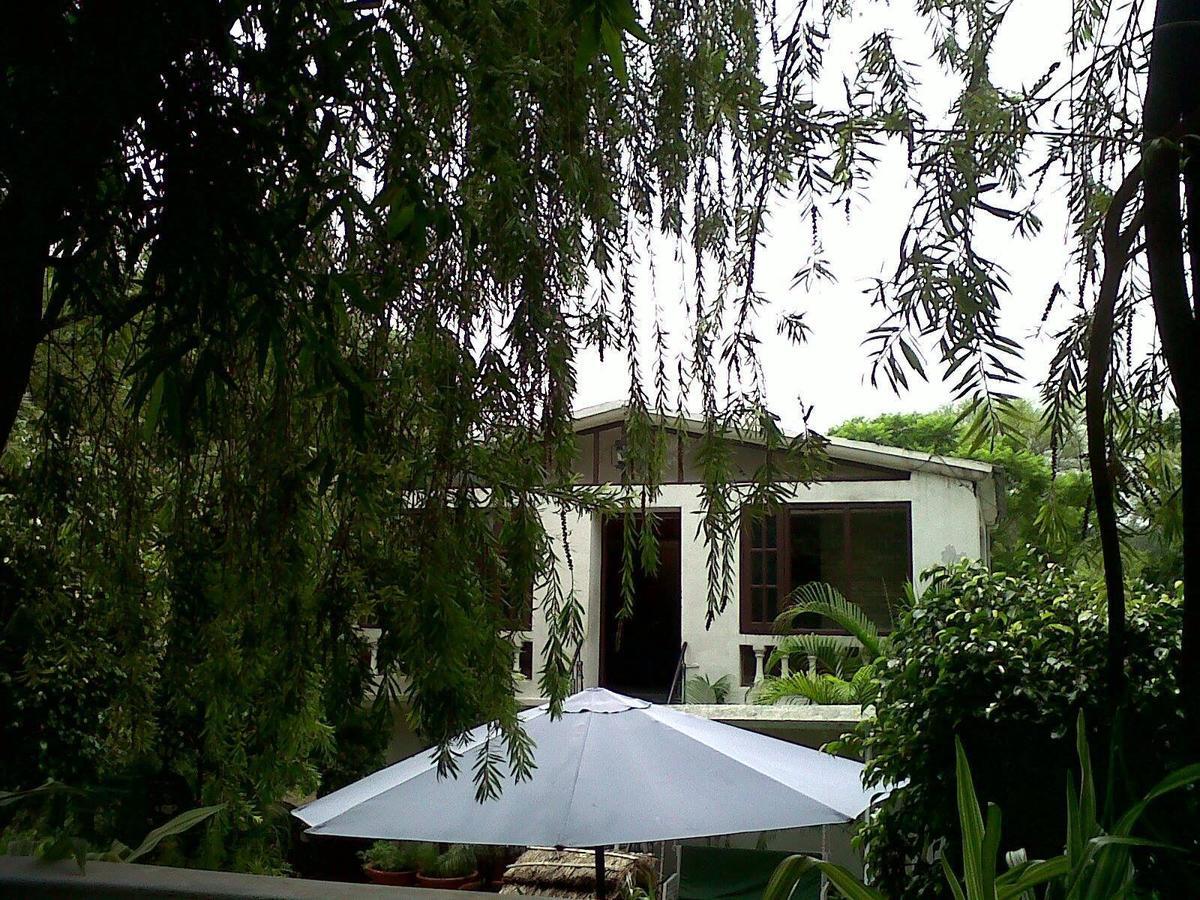 Siswan Jungle Lodge Baddi Extérieur photo